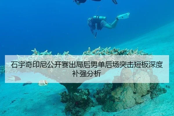 石宇奇印尼公开赛出局后男单后场突击短板深度补强分析
